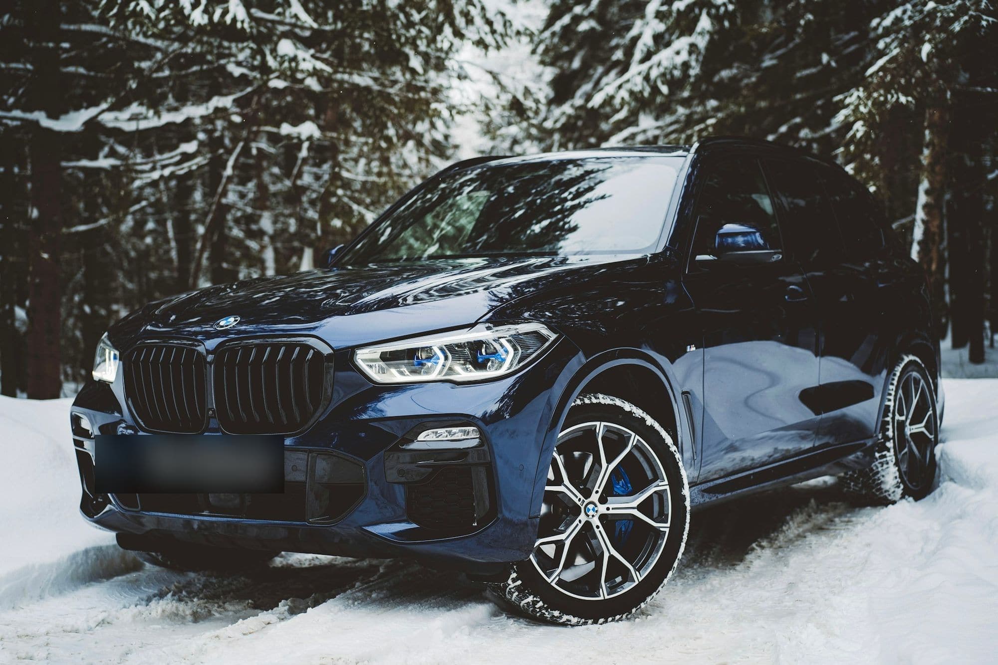 Blue BMW SUV parked in a snowy forest
