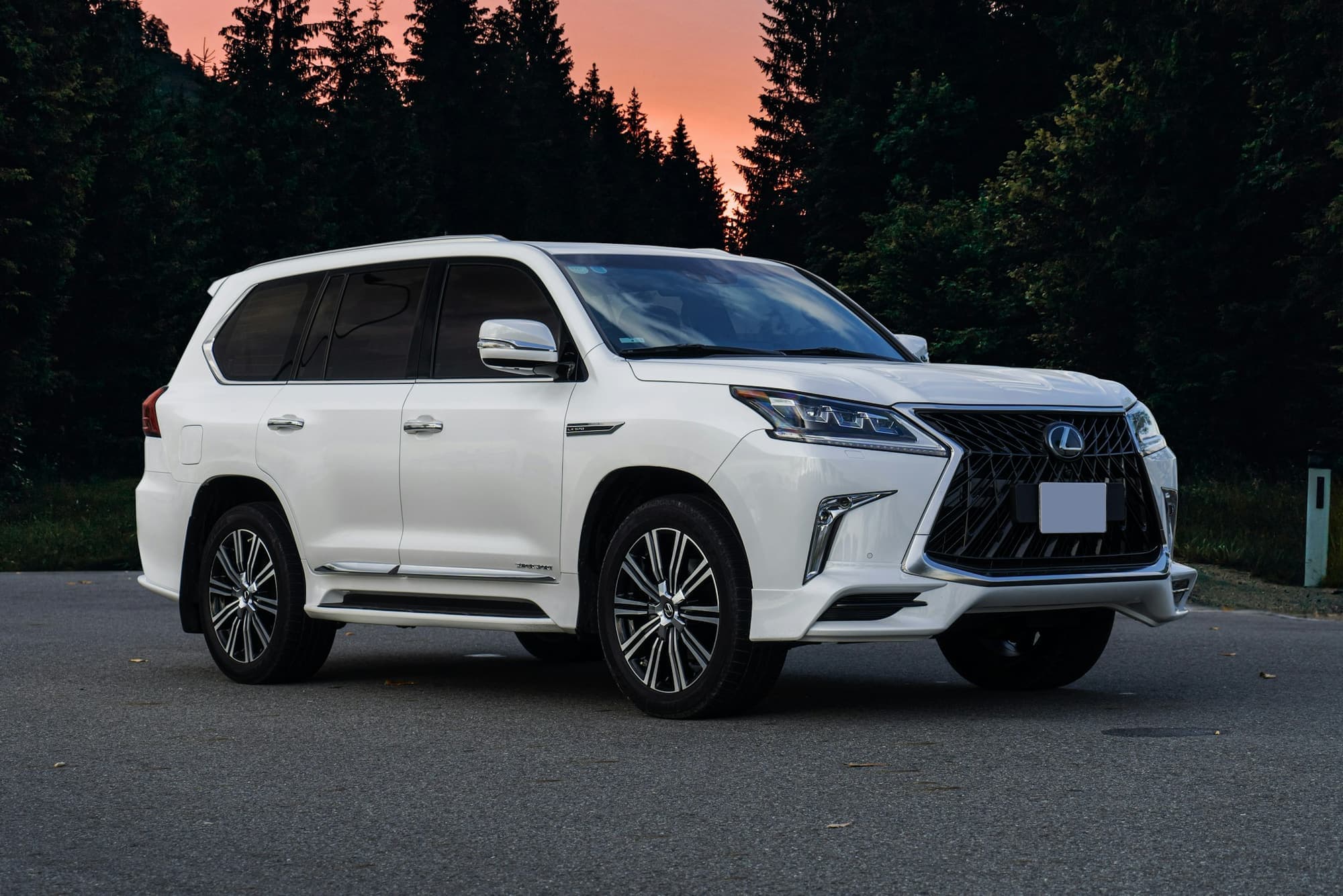 White Lexus SUV parked in front of a dark evergreen forest